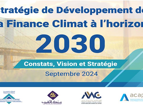 Strategie de Developpement de la Finance Climat a lhorizon 600x451