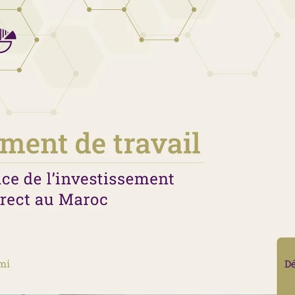 Efficience Investissement Publics Maroc 1734779944 600x600